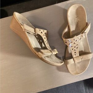Vionic Shoes